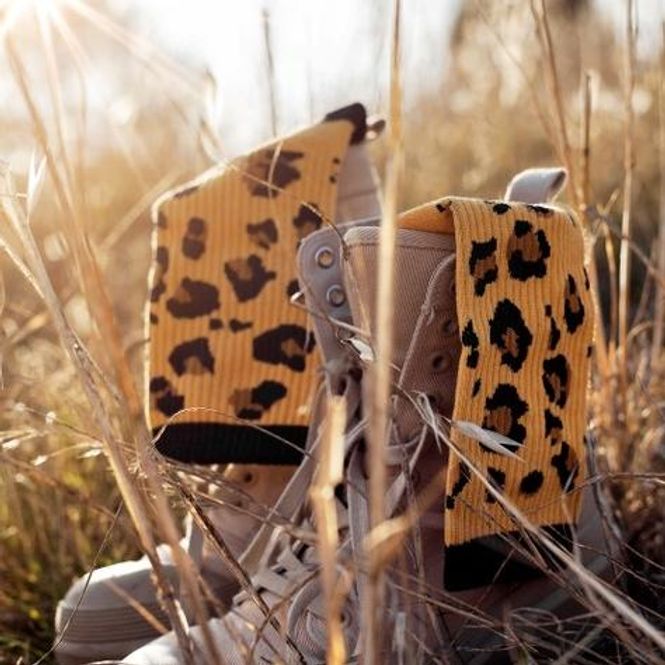 Hovedbilde Leopard Tennissokker