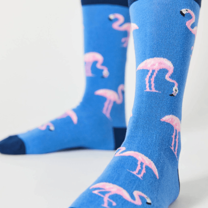 Hovedbilde Flamingo Bomullsokker (Blå)